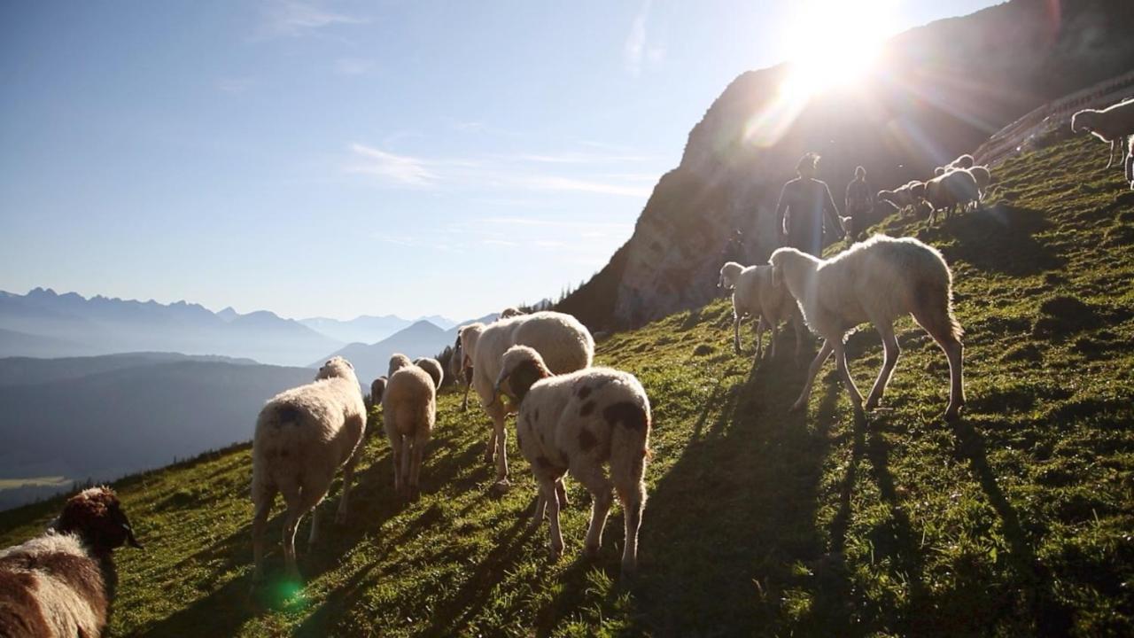 Apartmán Alpen Quartier Uderns Exteriér fotografie